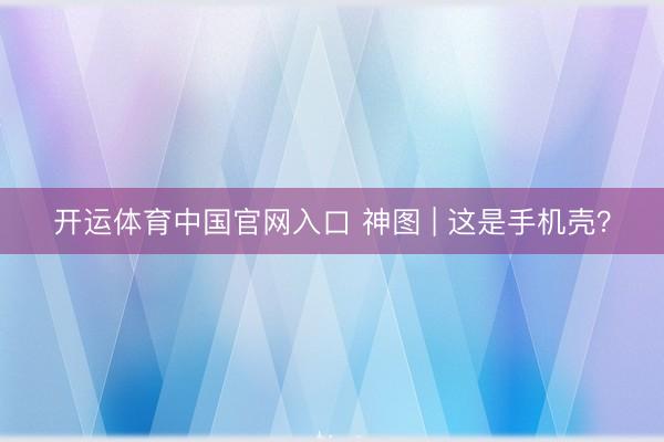 开运体育中国官网入口 神图 | 这是手机壳？