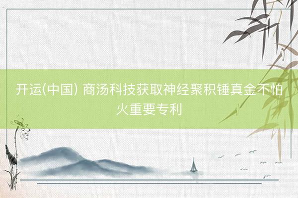 开运(中国) 商汤科技获取神经聚积锤真金不怕火重要专利