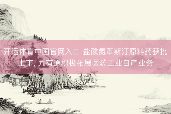 开运体育中国官网入口 盐酸氮䓬斯汀原料药获批上市, 九有通积极拓展医药工业自产业务