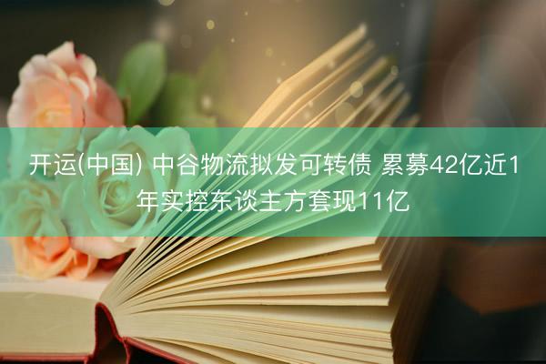 开运(中国) 中谷物流拟发可转债 累募42亿近1年实控东谈主方套现11亿