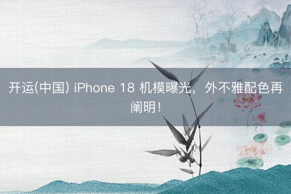 开运(中国) iPhone 18 机模曝光，外不雅配色再阐明！