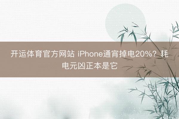 开运体育官方网站 iPhone通宵掉电20%？耗电元凶正本是它